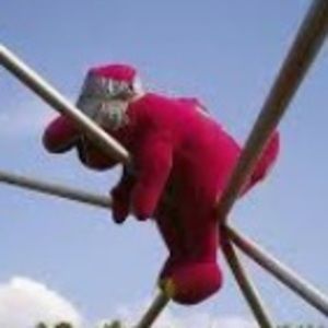 Meet your Posher, Kaylin